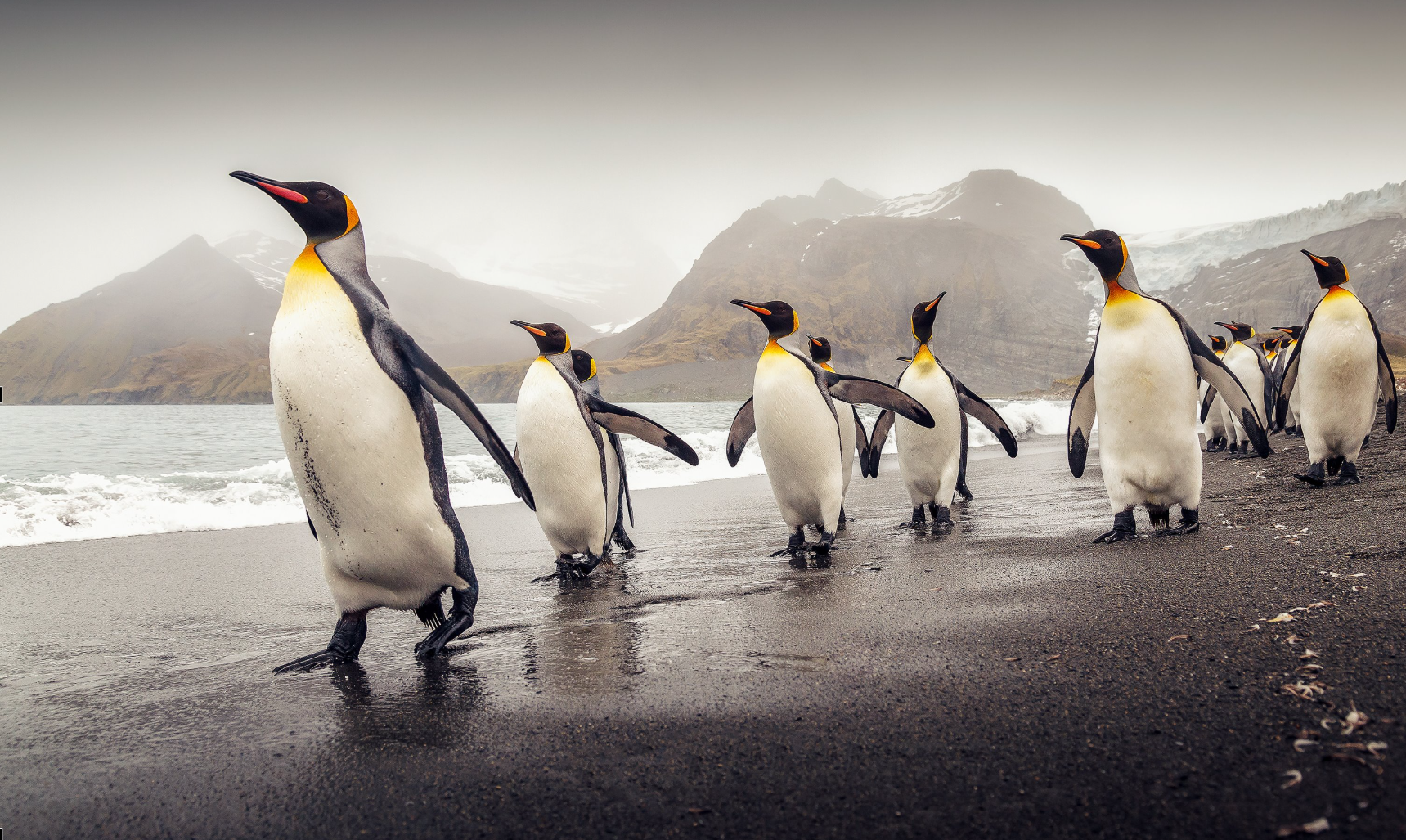 image of job applicants in a discussion (for a medical clinic)