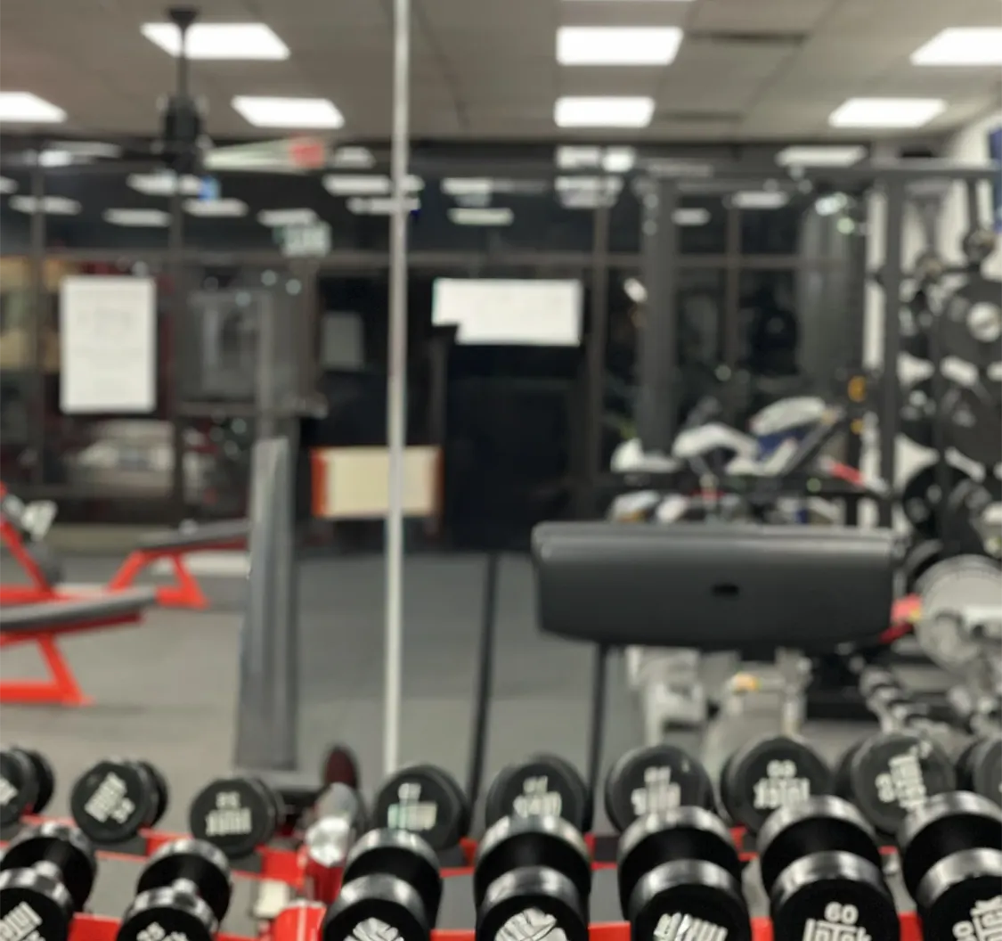 Gym of Dipaola Training systems. colors are red and black.