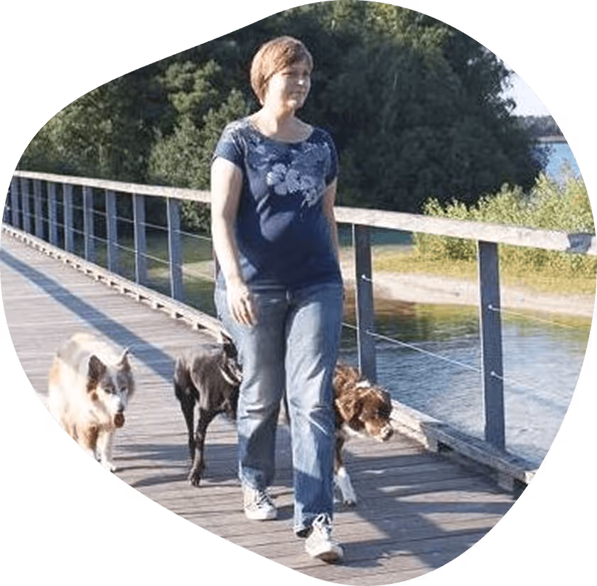 Frau geht mit Hunden am Geländer – ruhiger Spaziergang