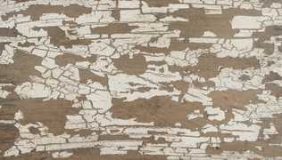 Maple HD-2365-20