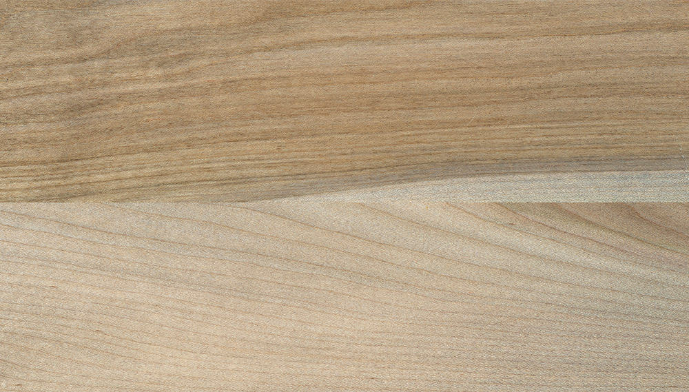 Maple HD-2225