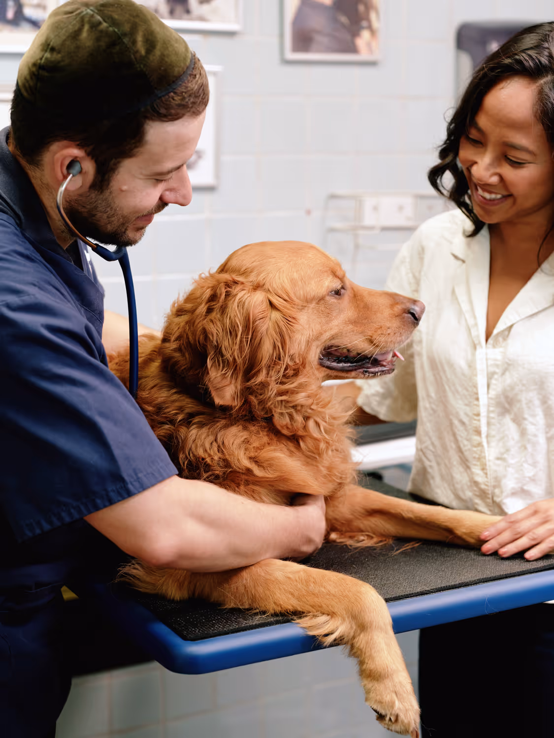 Veterinary doctor using a stethoscope to examine a golden retriever while the dog owner smiles and holds the dog's paw.