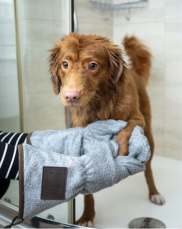 brown dog being dried off
