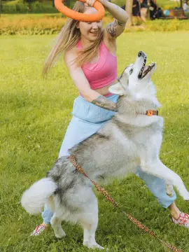 woman playing with dog in a park