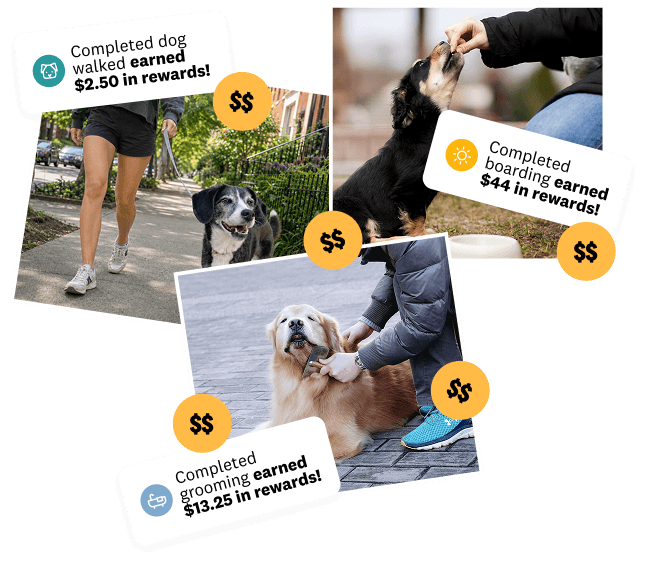 Collage of people with dogs walking, grooming, and boarding, showing cash rewards earned for each task.