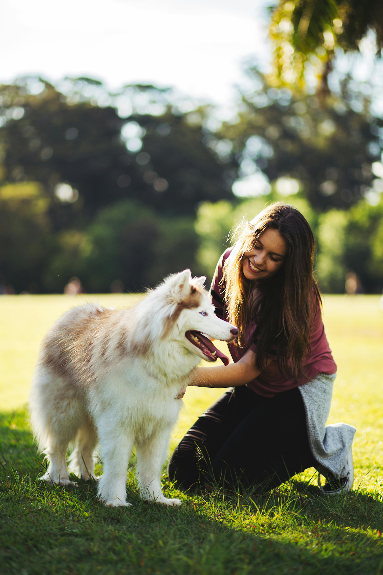A Yourgi Pro out on a walk with a dog