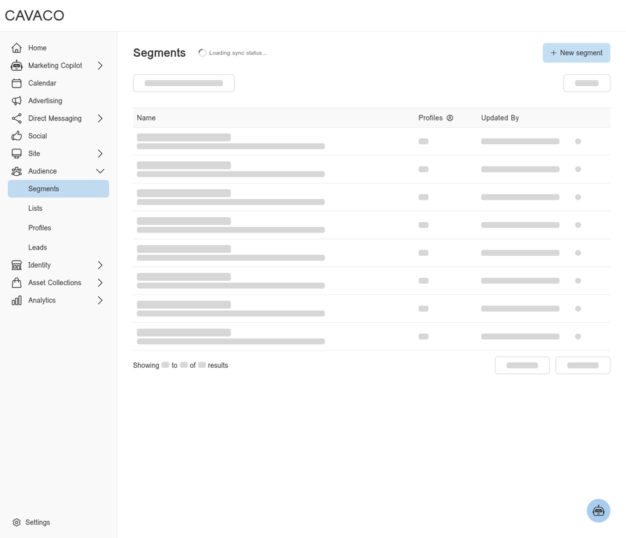 Cavaco AI Audience Segments