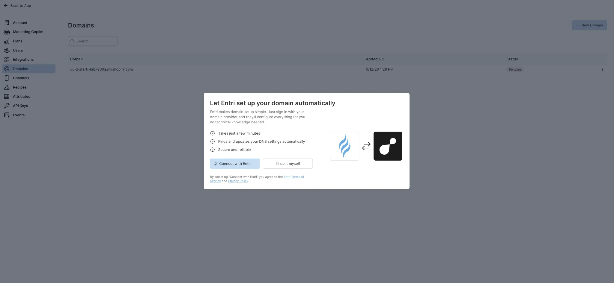 Let Entri set up your domain automatically screen in Cavaco AI