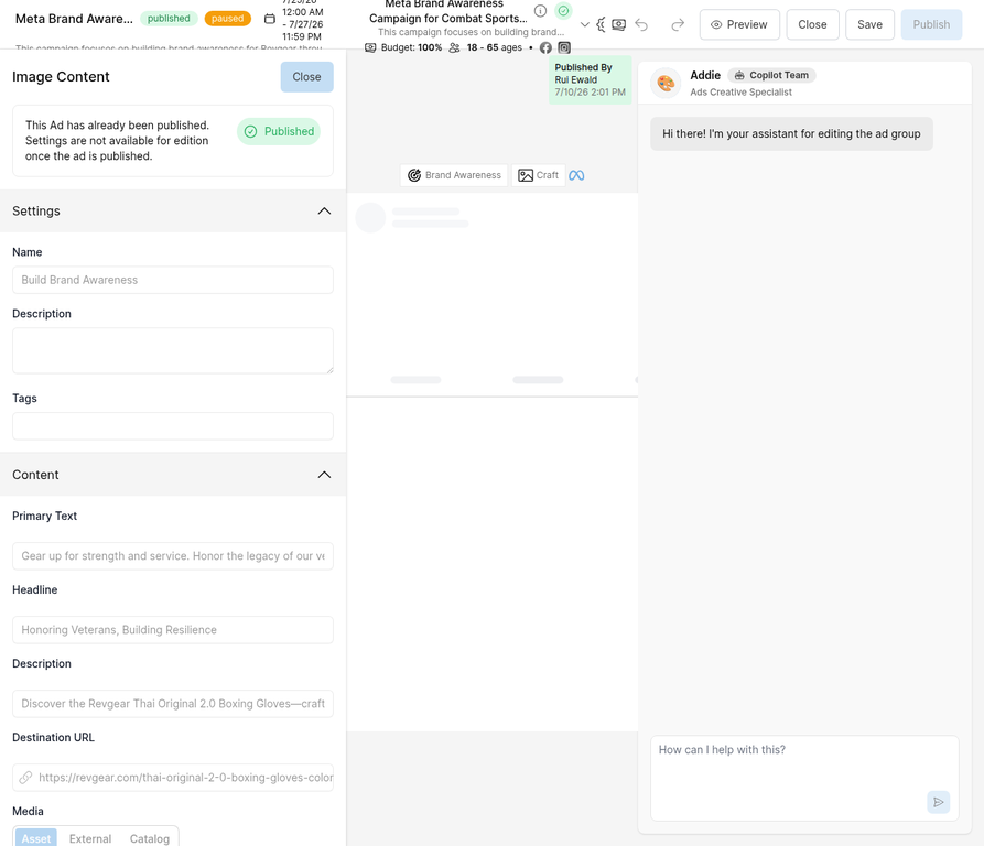 Campaign editor showing responsive creative fields: Primary Text, Headline, Description, Destination URL, and Media tabs