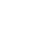 Globe icon representing languages
