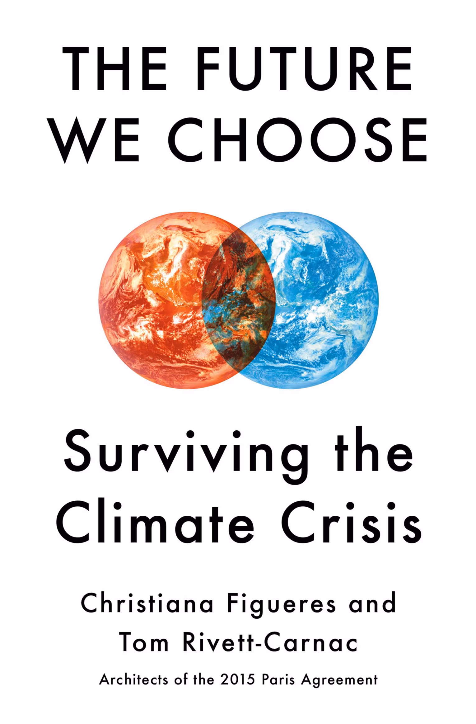 The Future We Choose