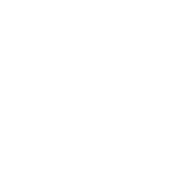 Simple Service Icon