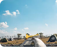 People doing camping