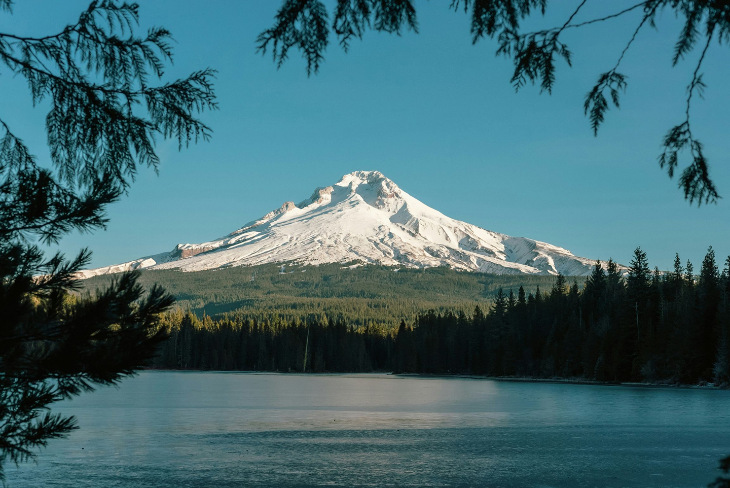 The view of a mountain