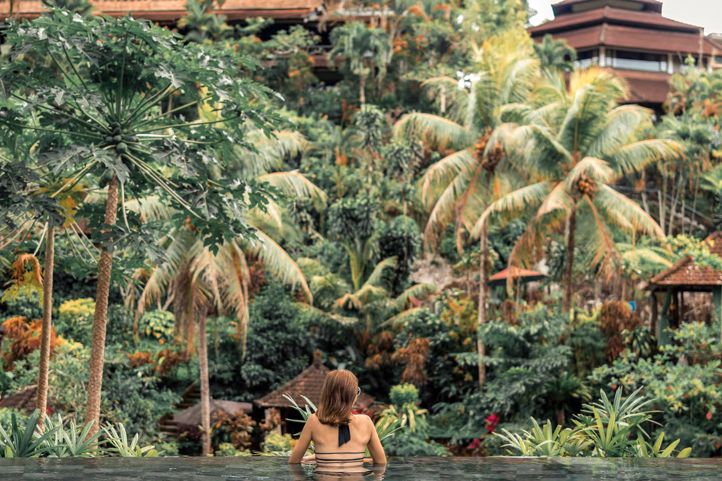 A woman taking a swim in a tropical environment