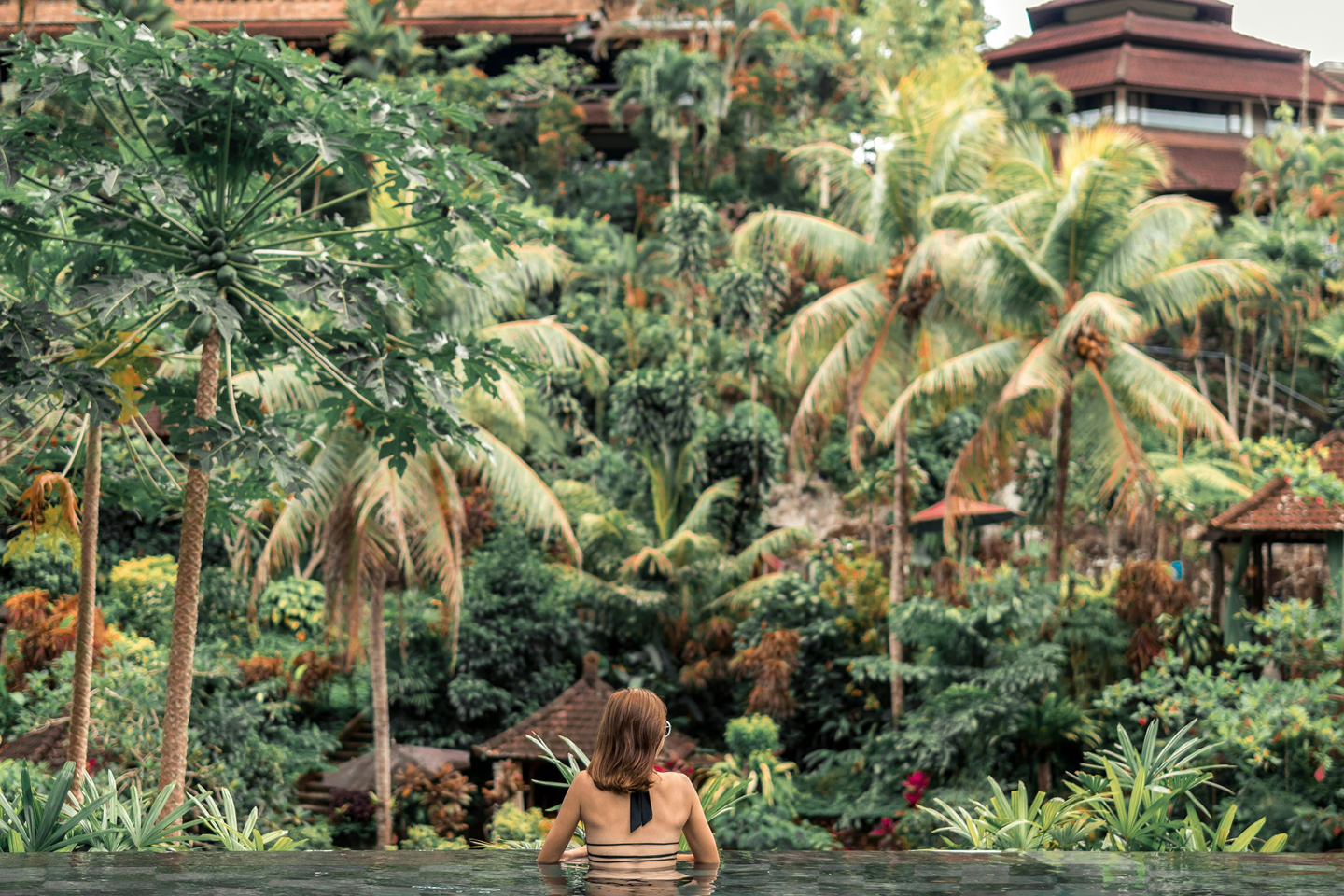 A woman taking a swim in a tropical environment