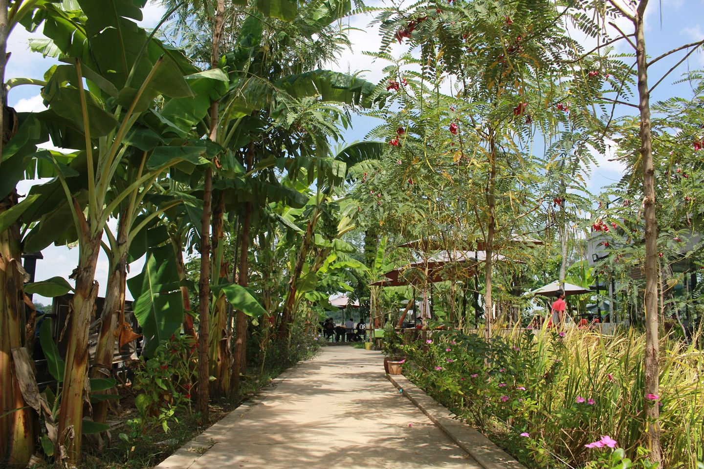 A tropical destination