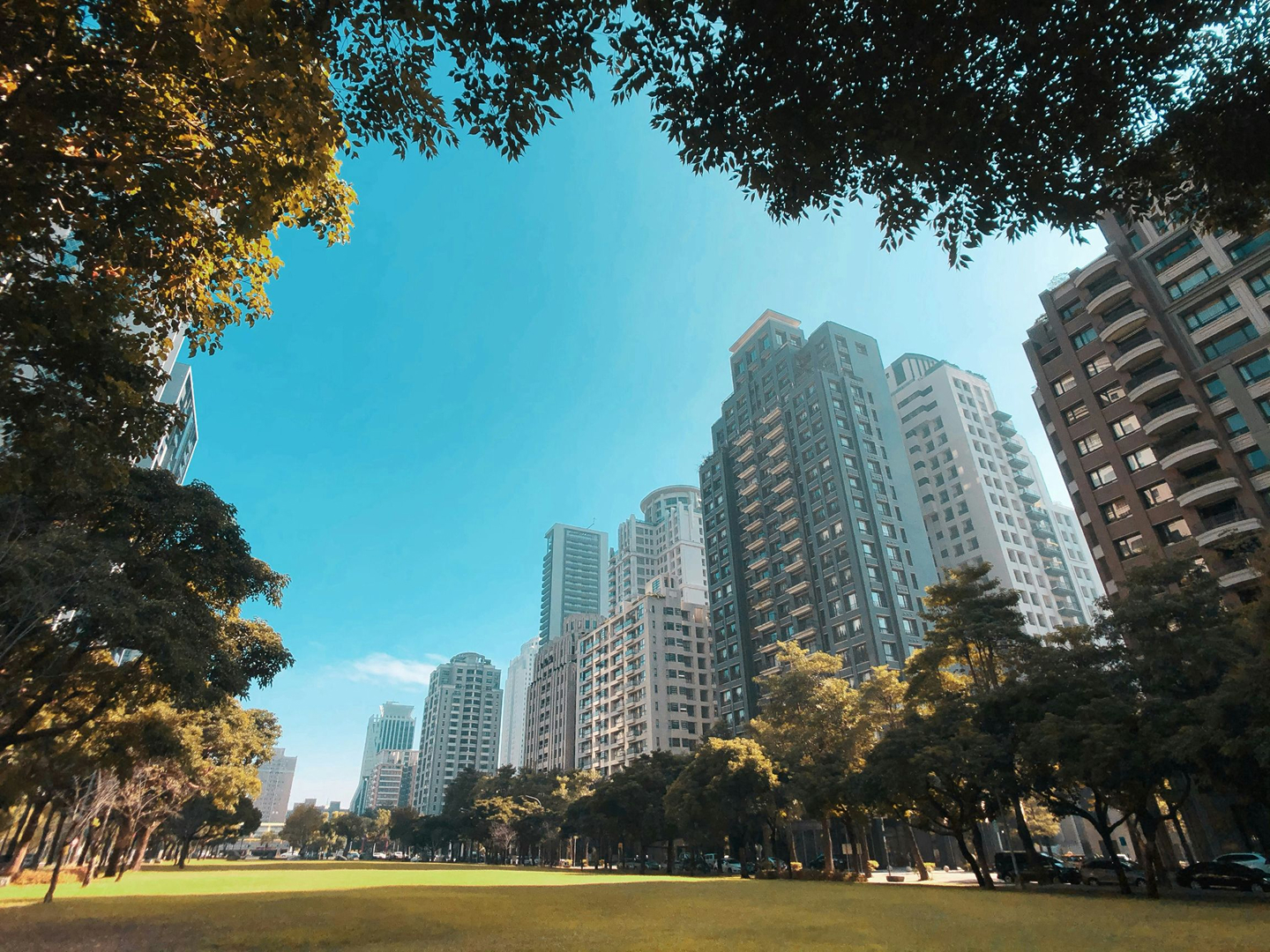 A skyline view from a park