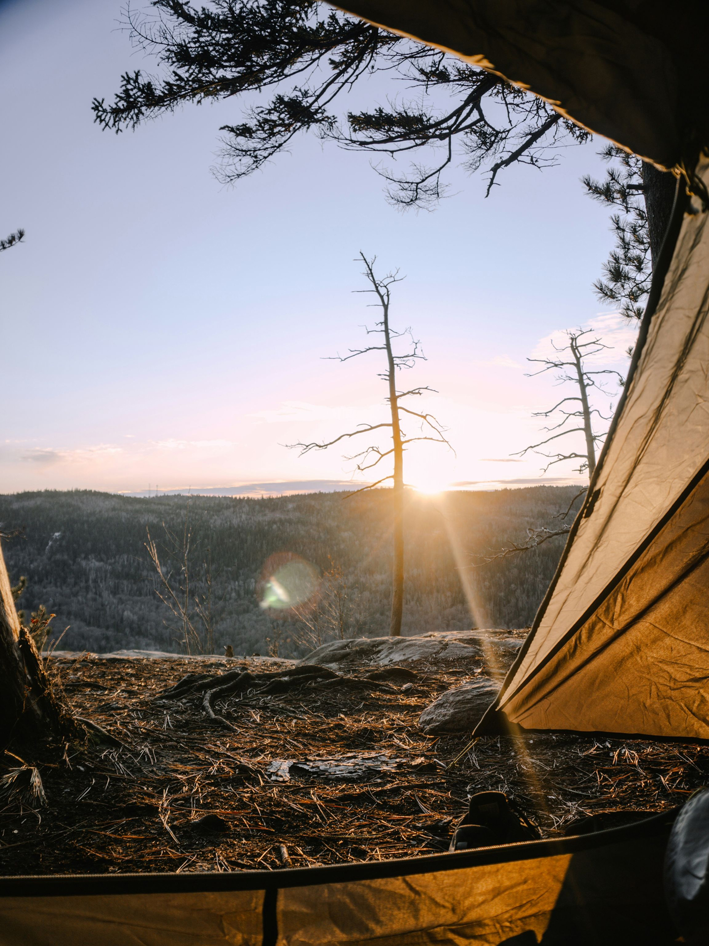 The view from outside of a tent