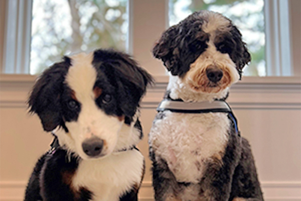 Penny & Wally Cardello