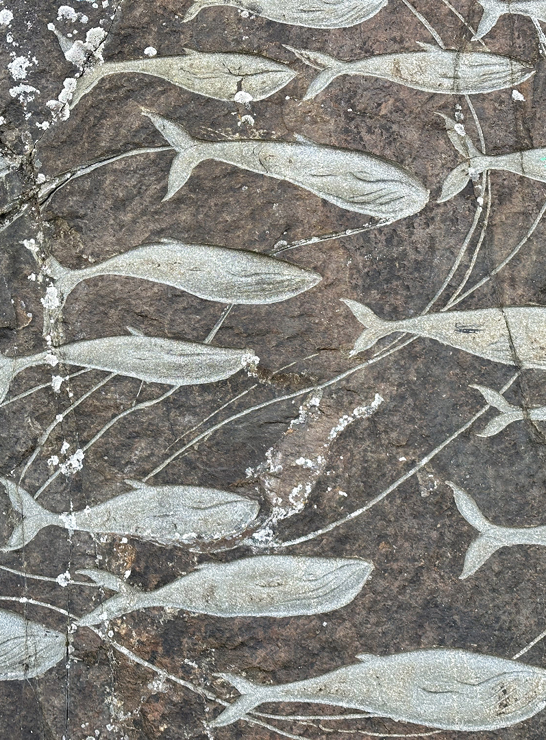 Whales carved into rock