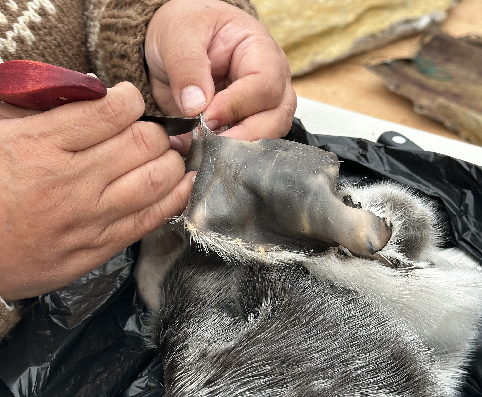 hands stitching a hide
