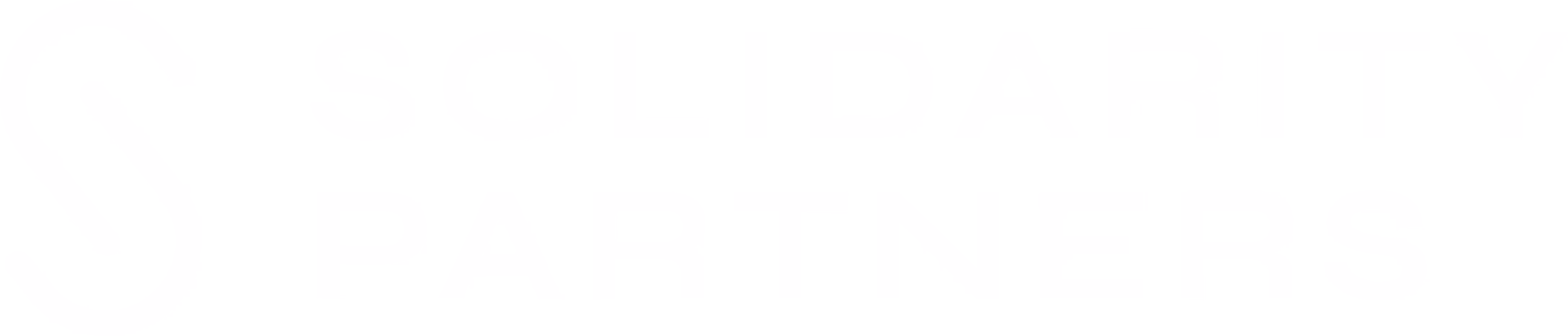 Solidarity Partners Logo