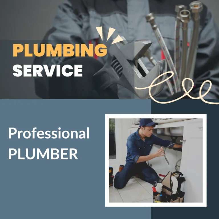 professional plumber