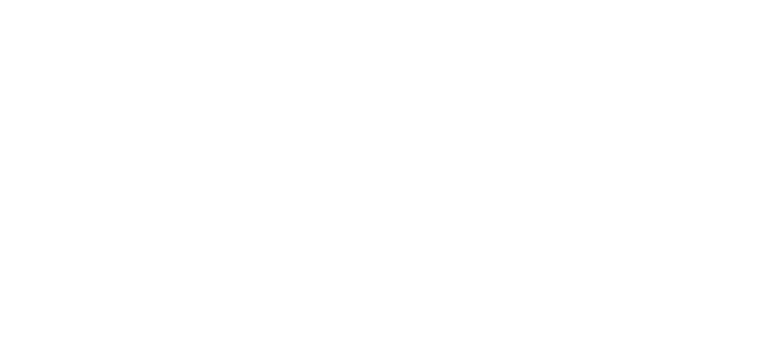 Logo of Vilasani Ventures