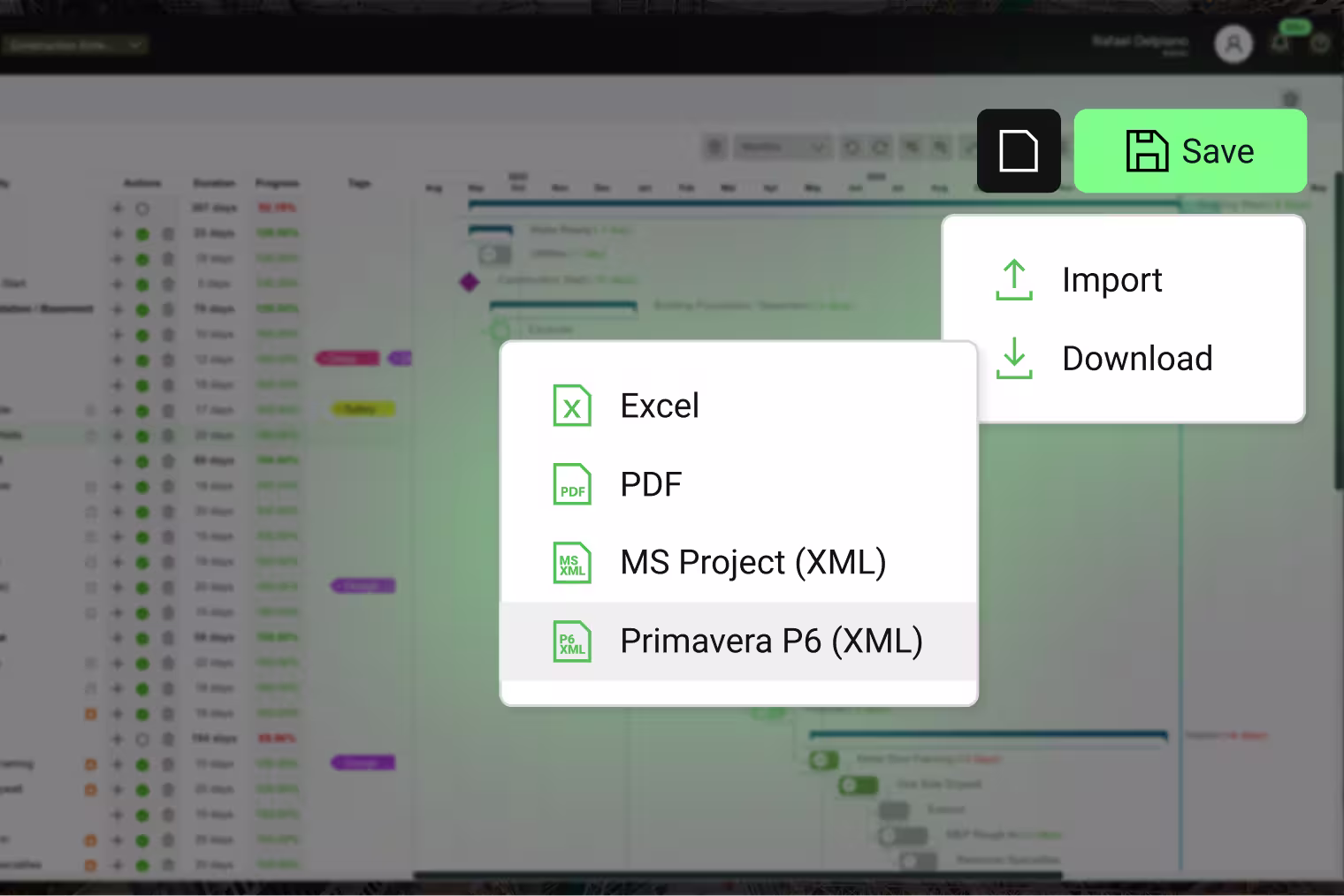 Take on P6 Projects Without the P6 Effort