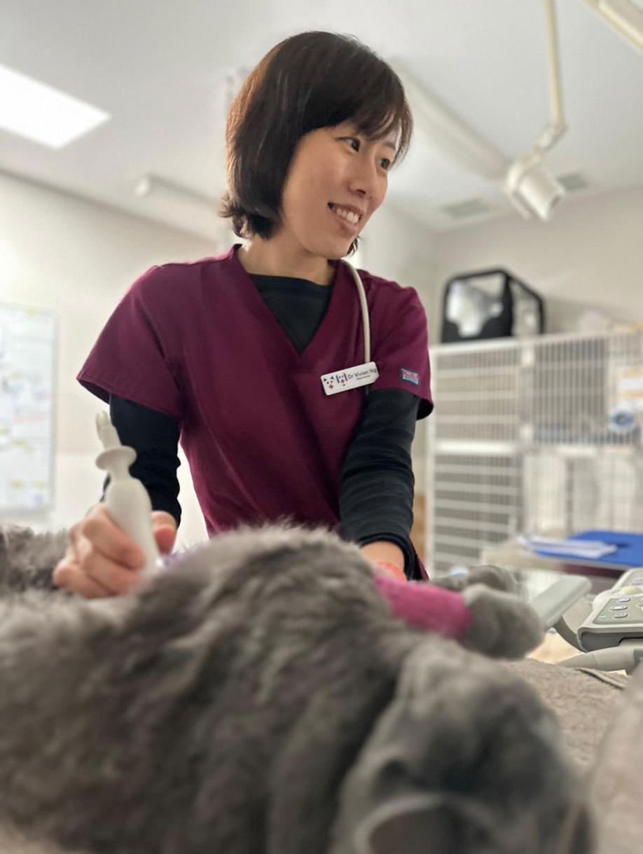 Dr Vivian