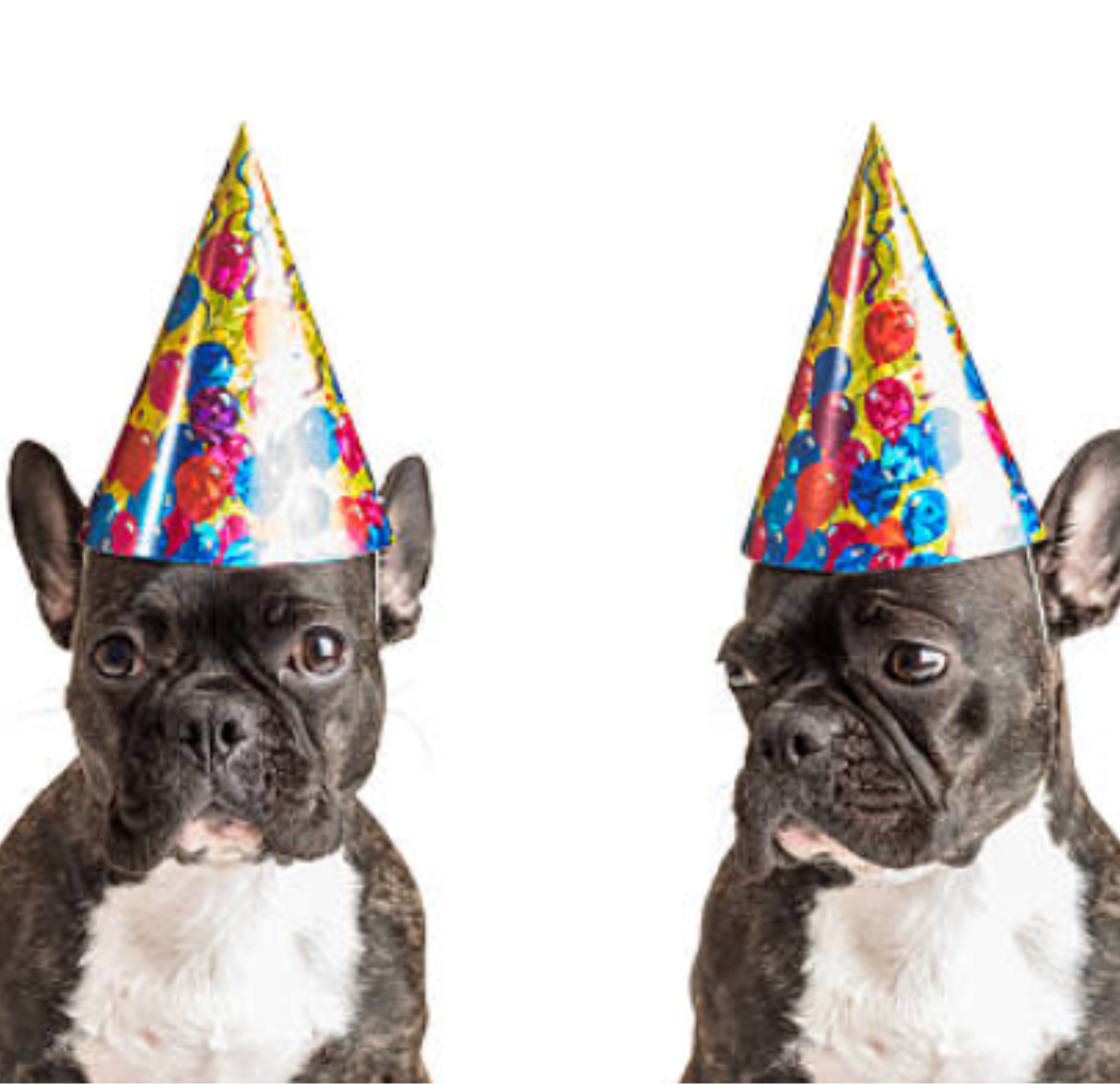 Our May Newsletter