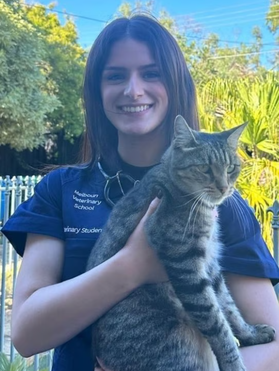 Lucie 