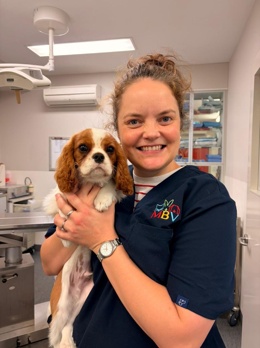 Dr Phoebe