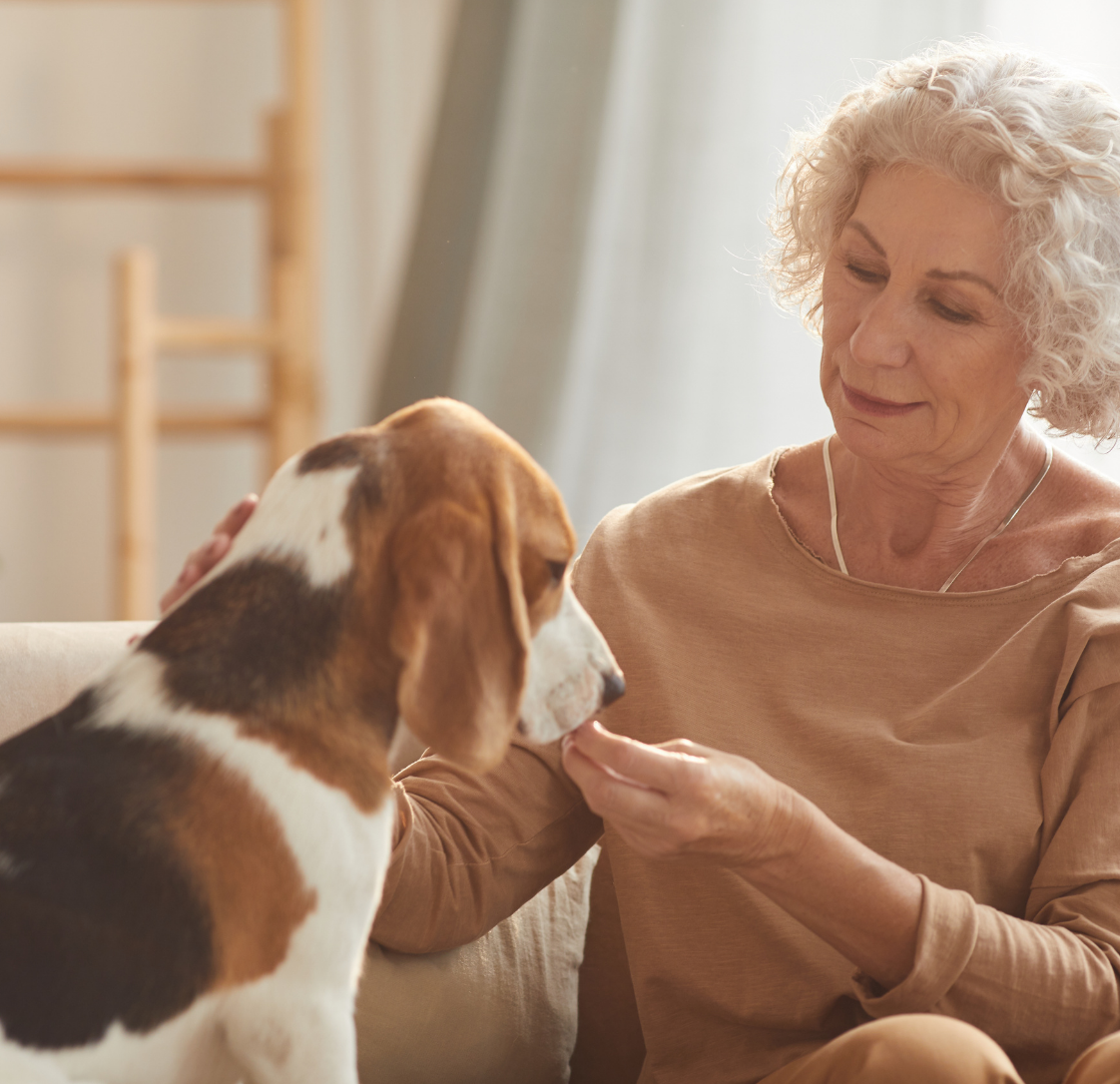 Senior Blood Testing: What We Look For and Why It Matters