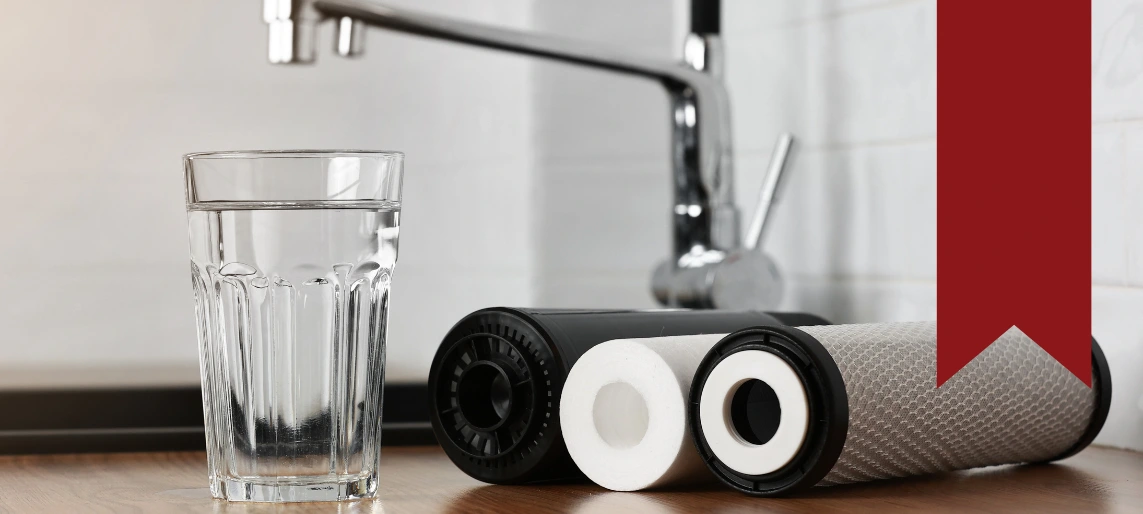 Glass of clean drinking water beside reverse osmosis and carbon water filter cartridges.