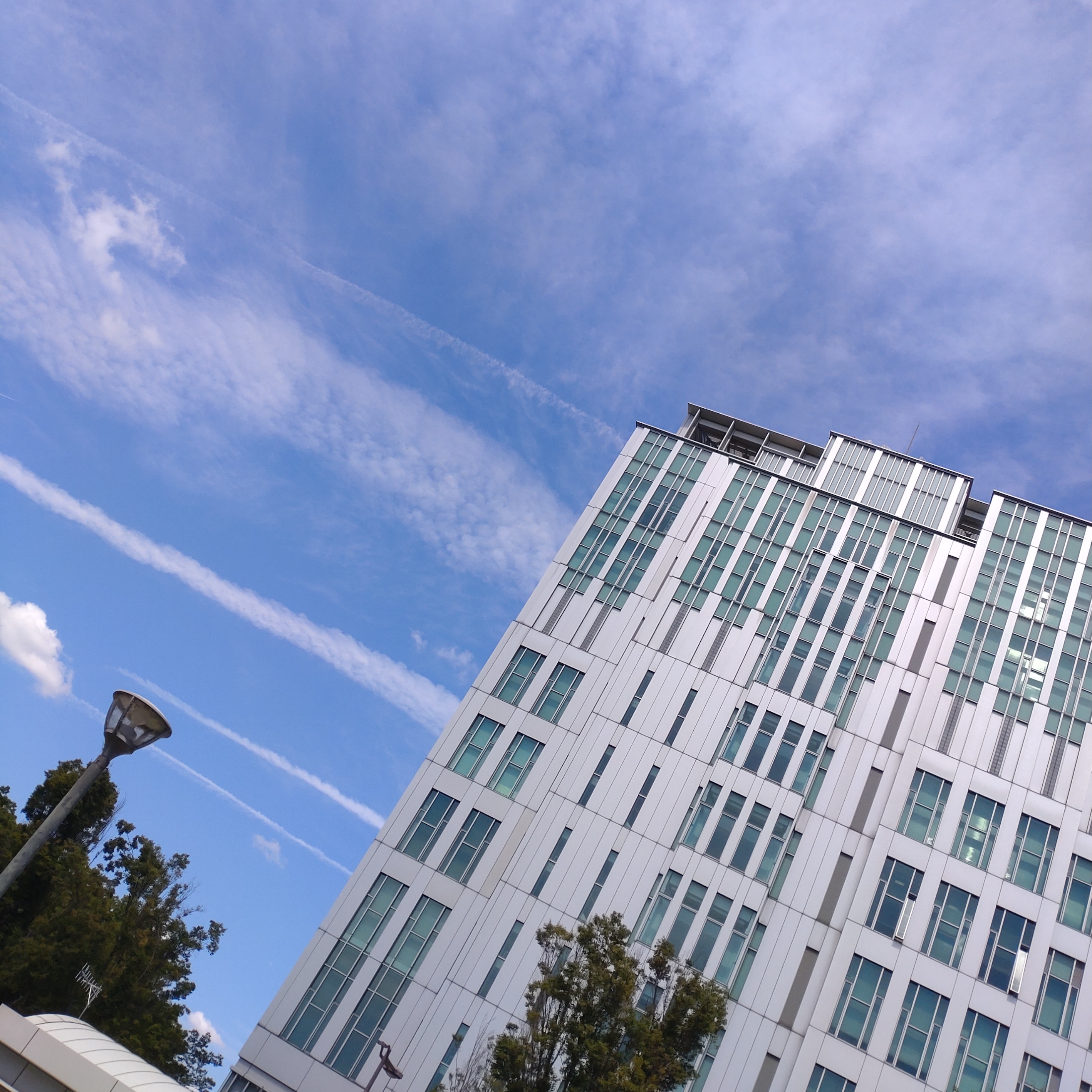 cream's profile photo