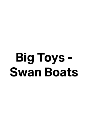 Big Toys - Swan Boats logo