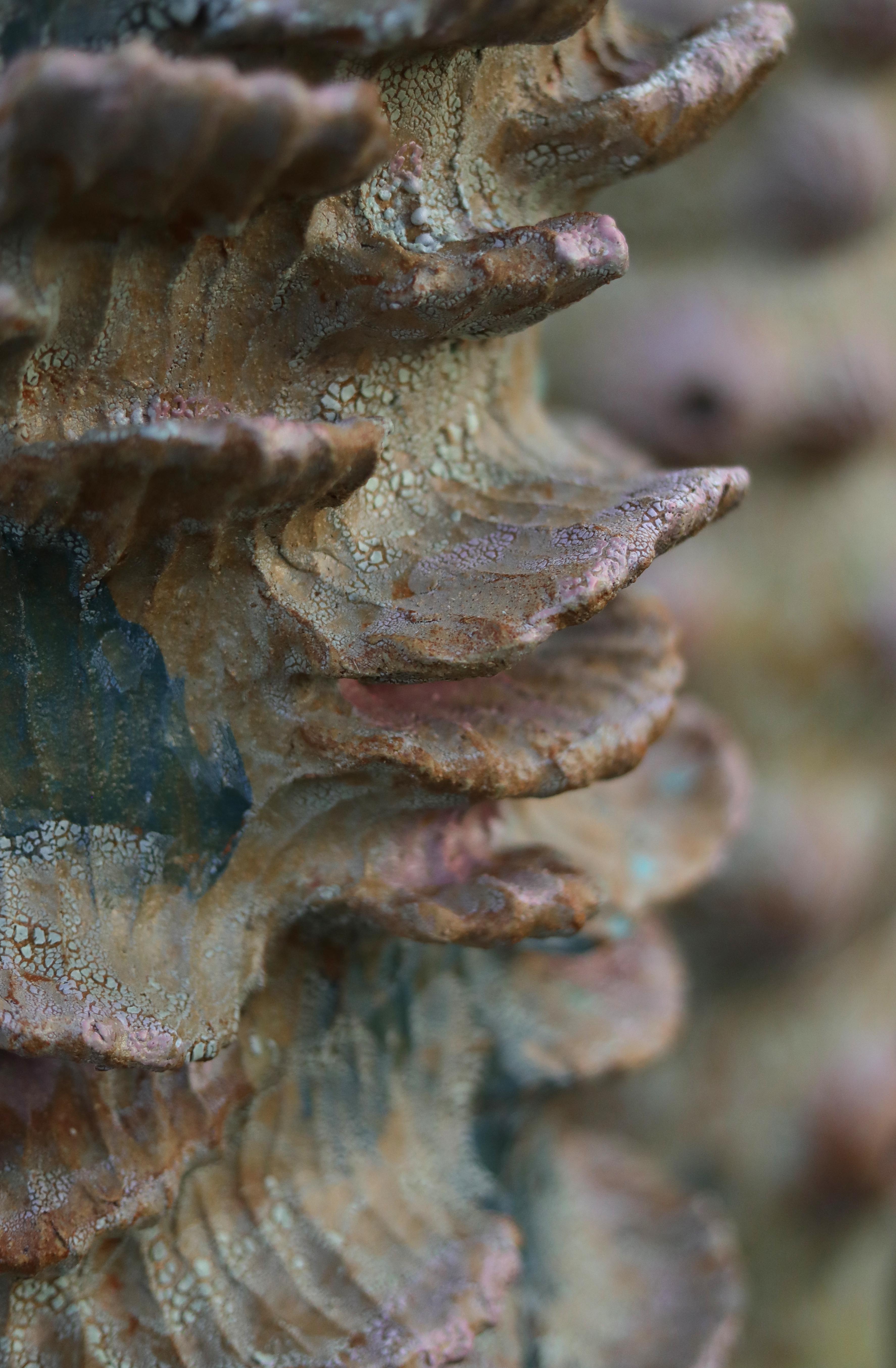 Prototaxites, The London Fungus Network