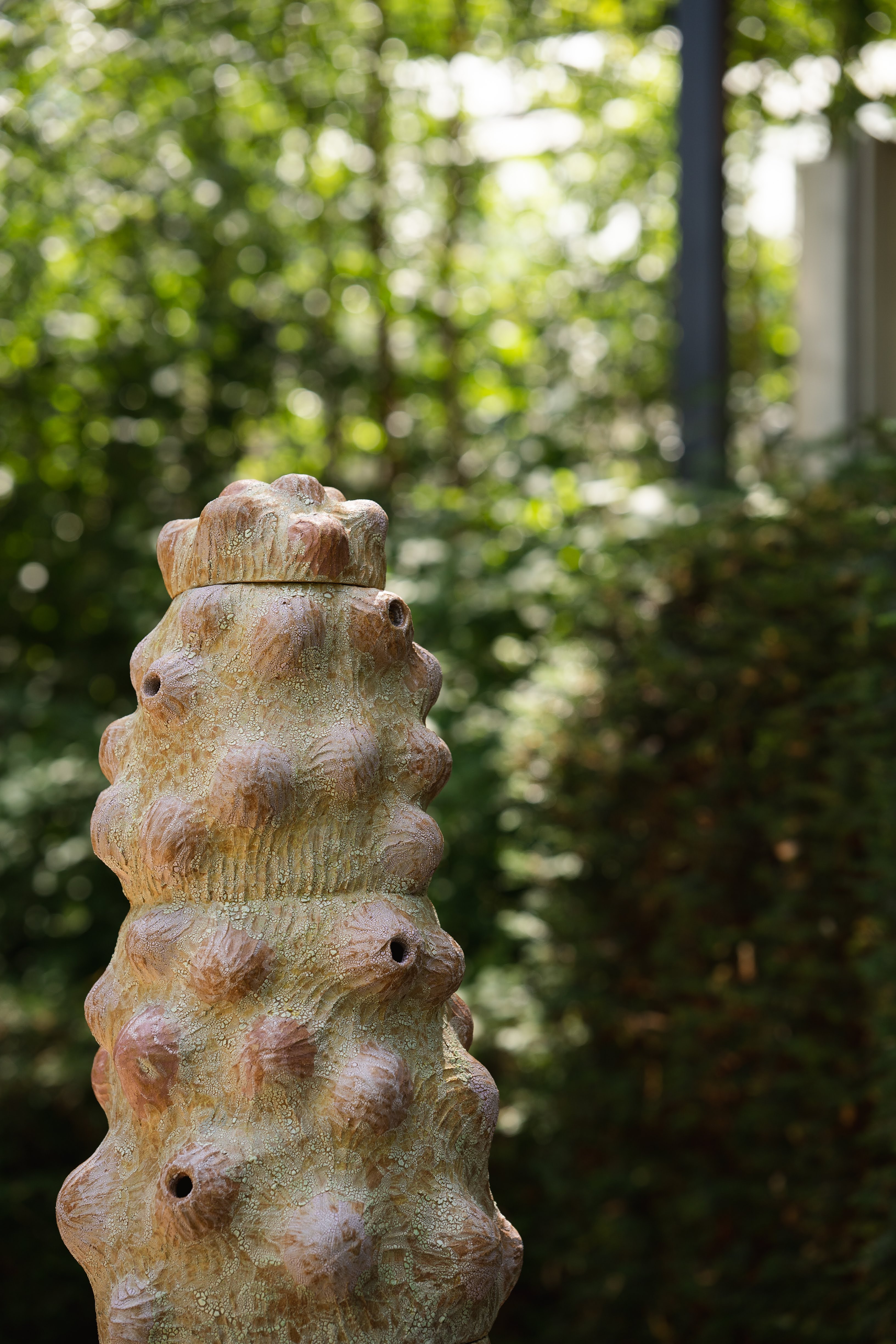 Prototaxites, The London Fungus Network