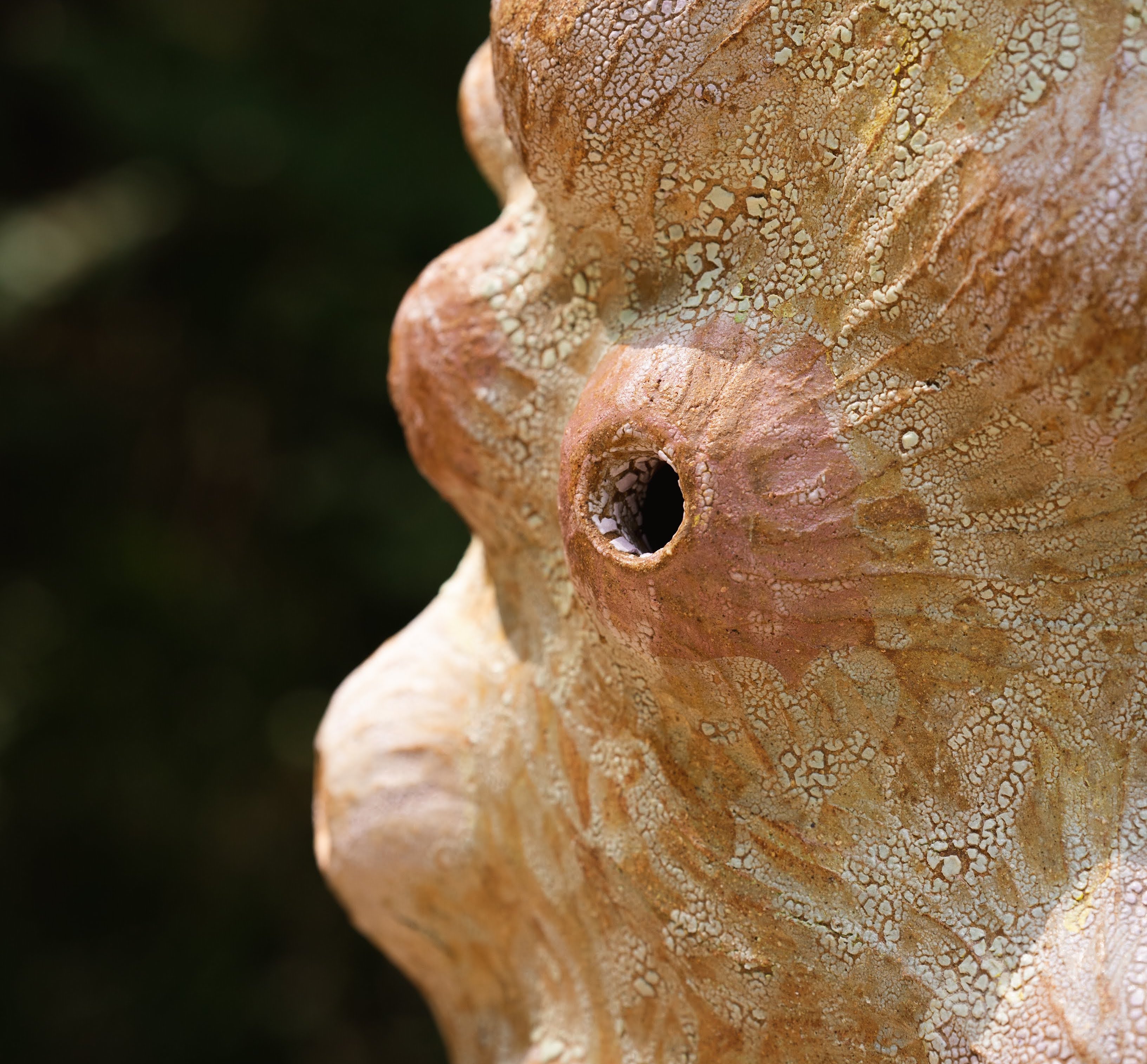 Prototaxites, The London Fungus Network