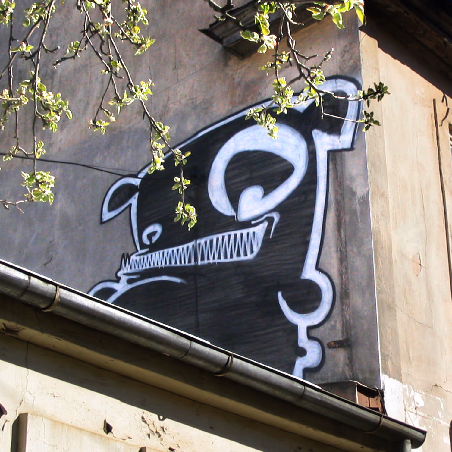 header_image