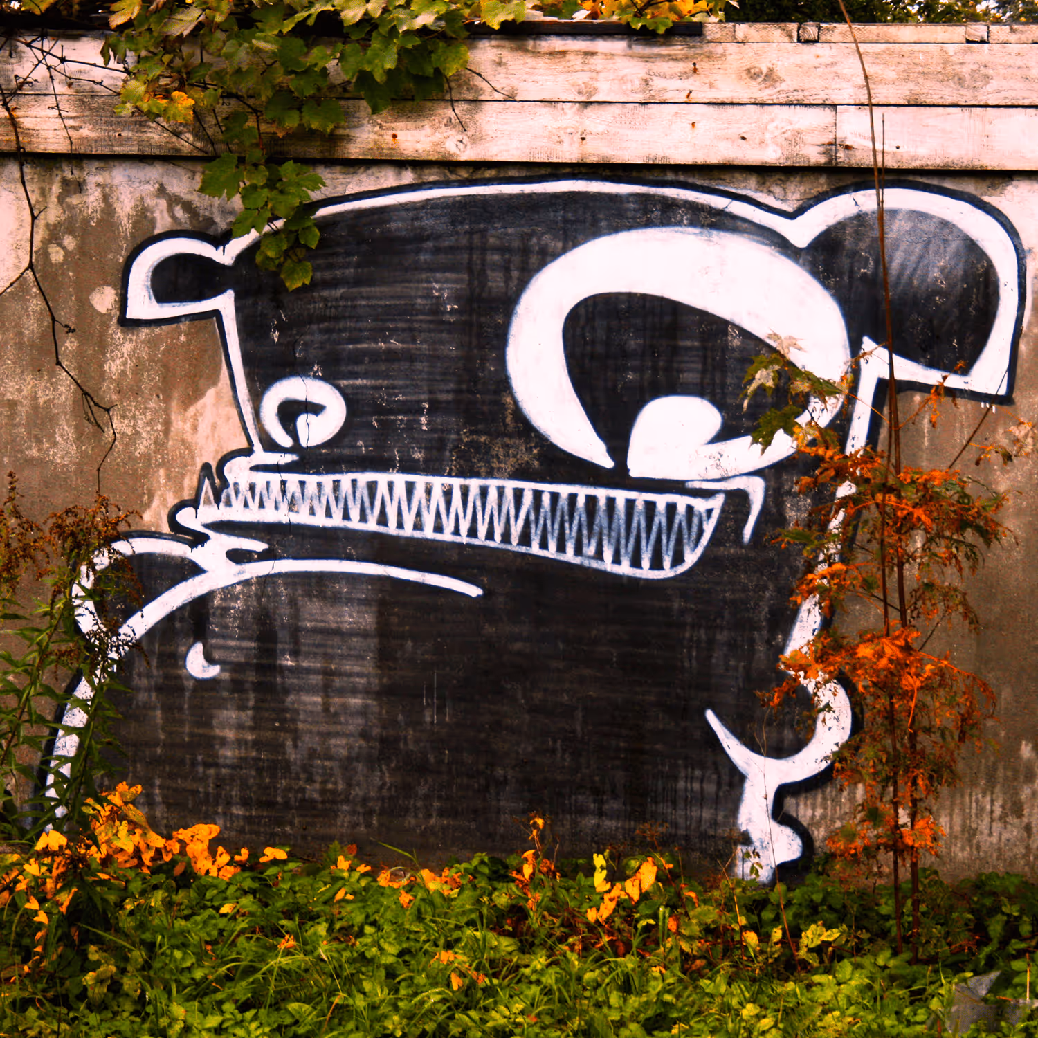 header_image