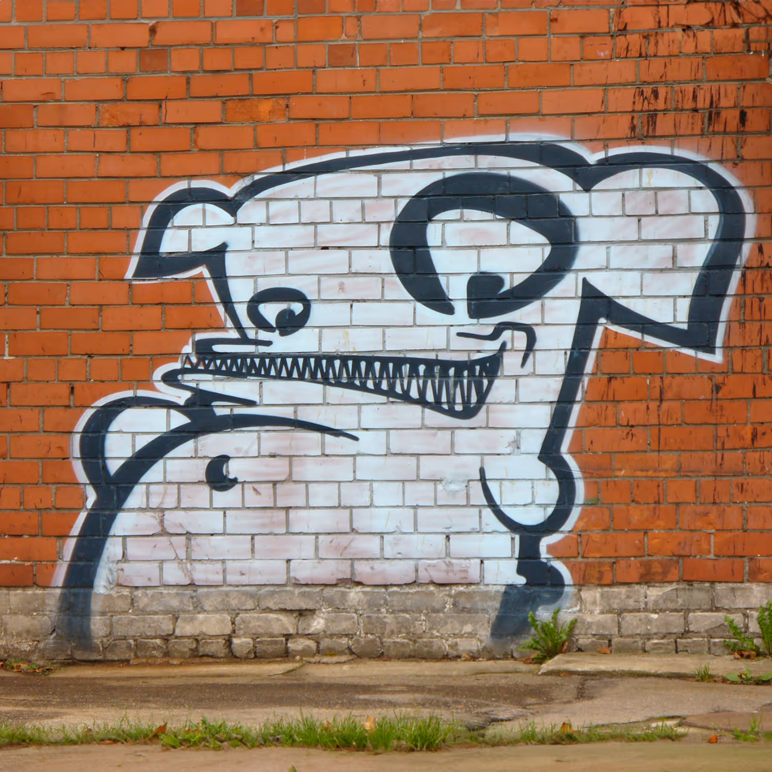 header_image