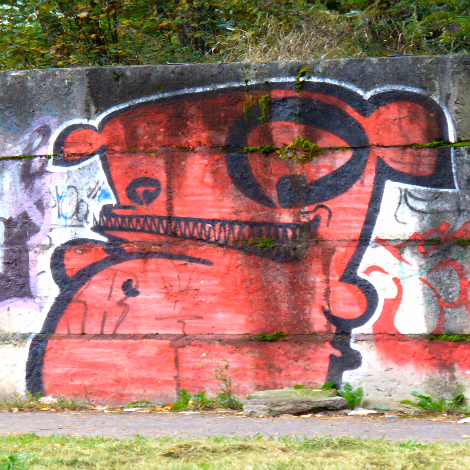 header_image