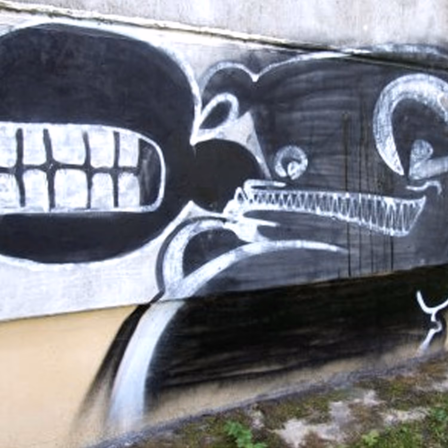 header_image