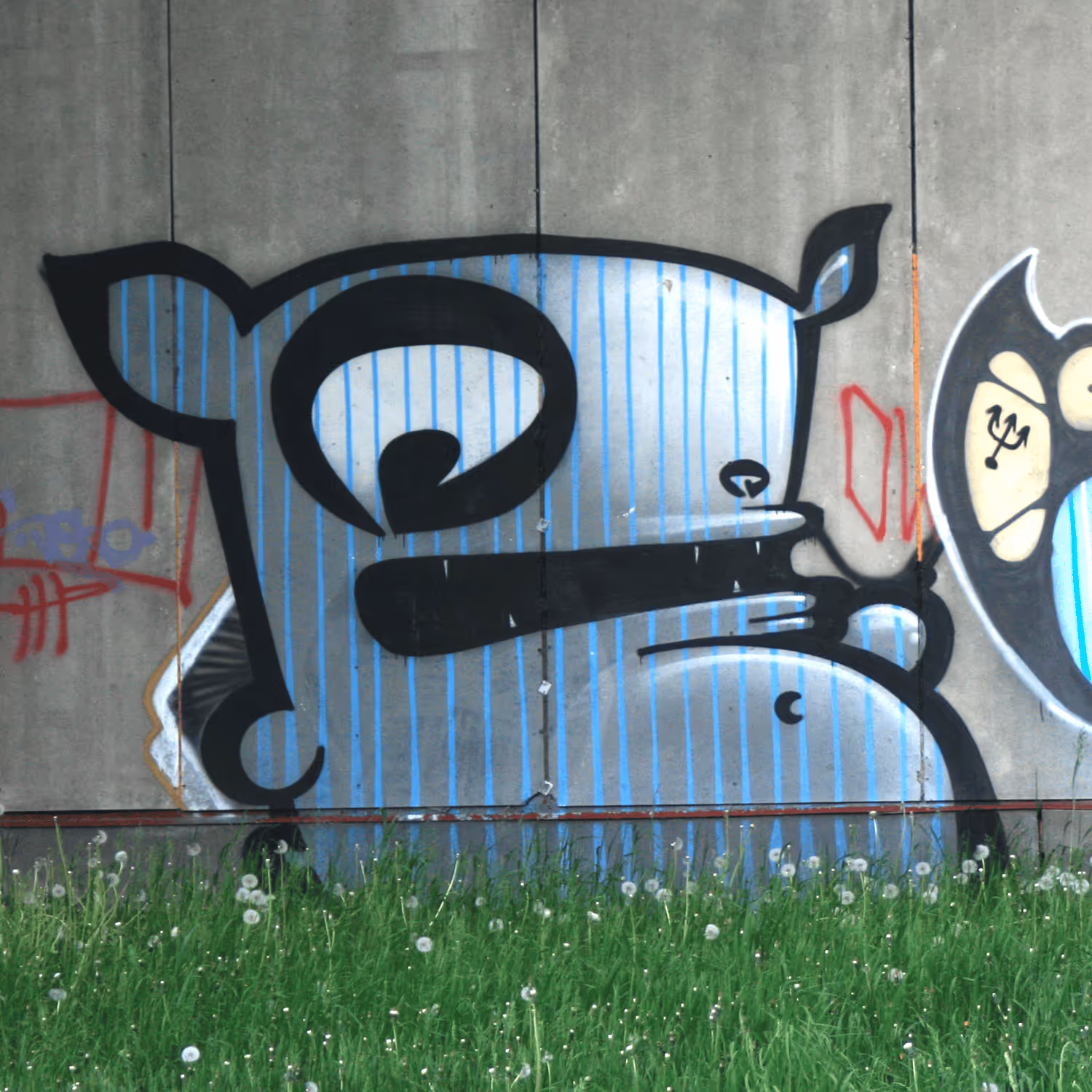 header_image