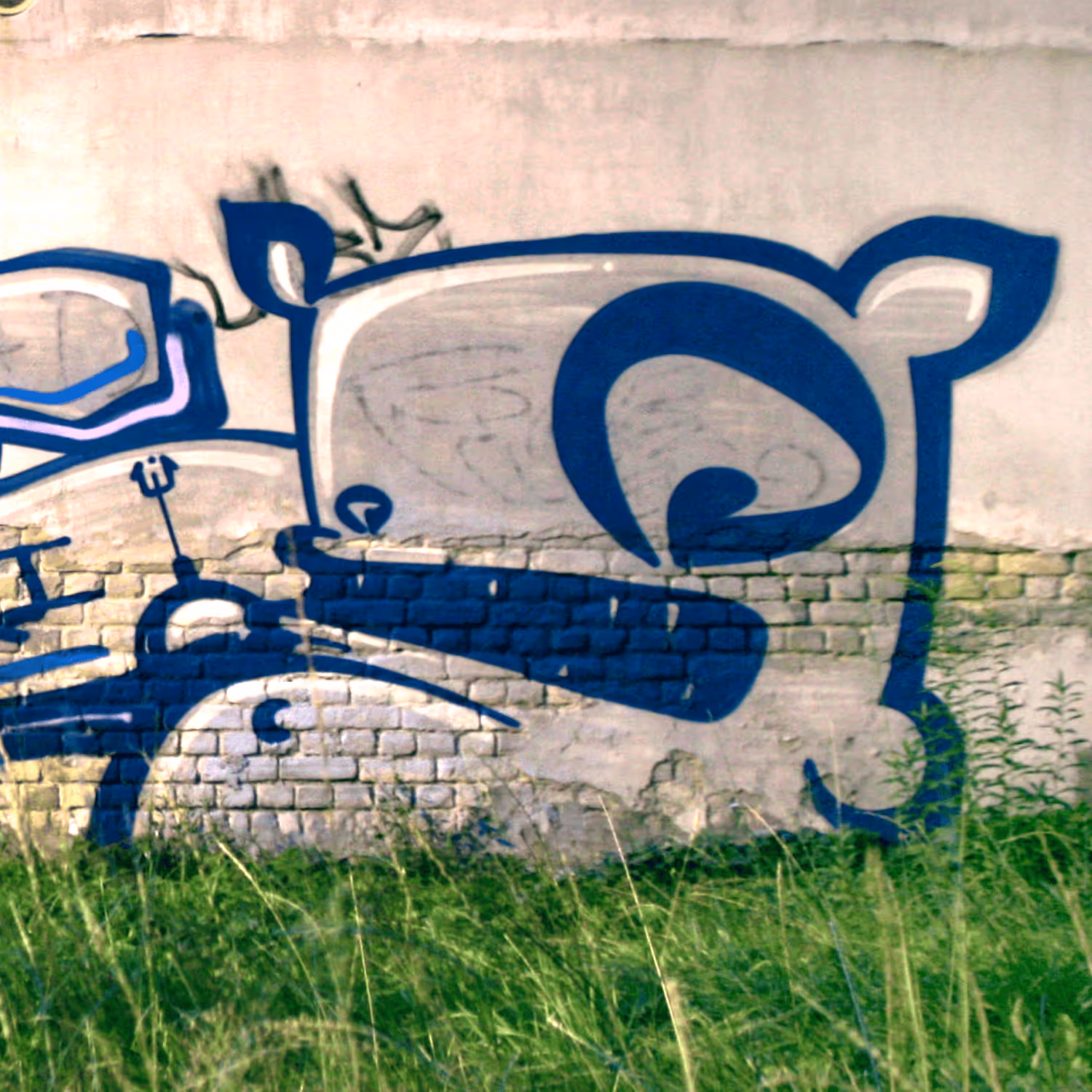header_image
