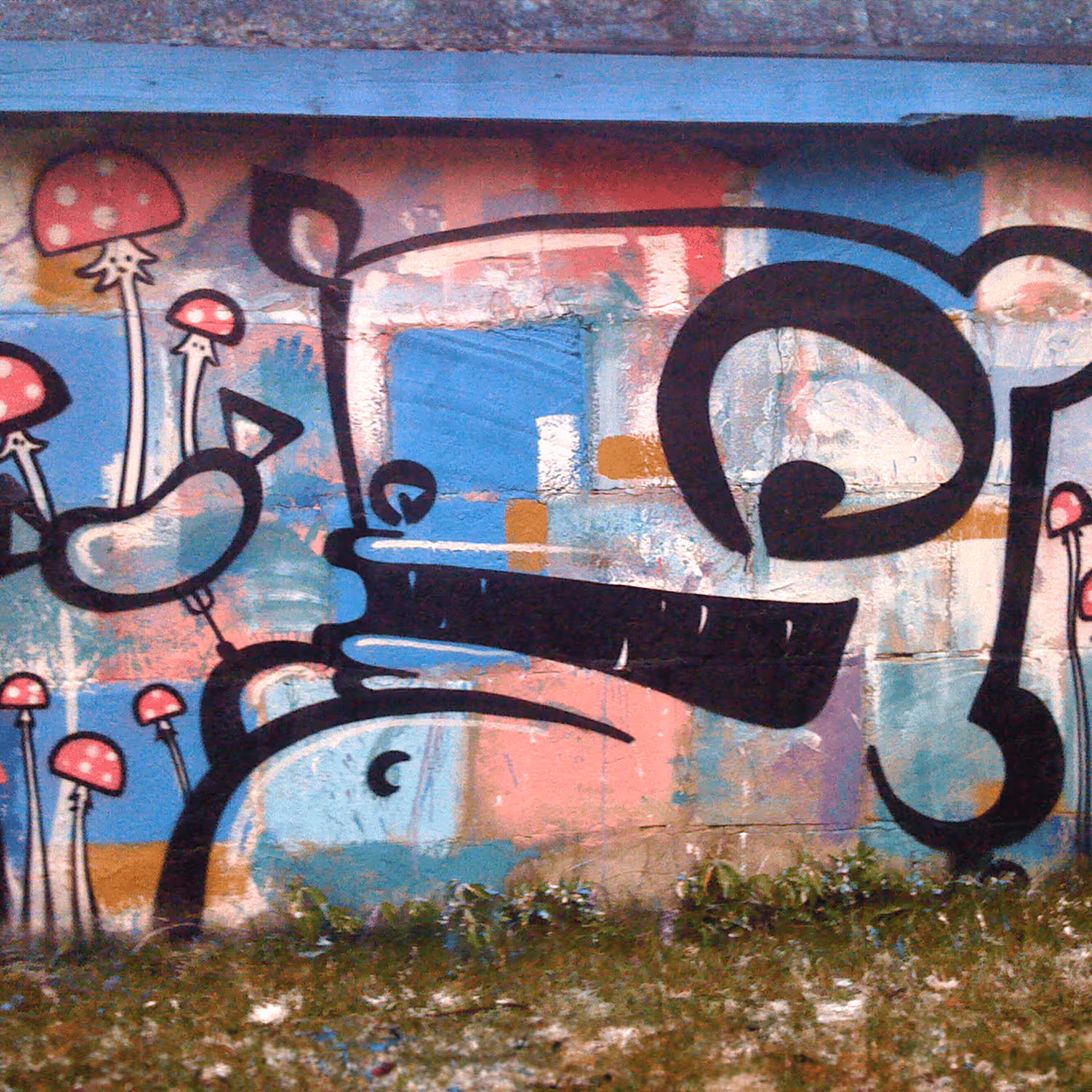 header_image