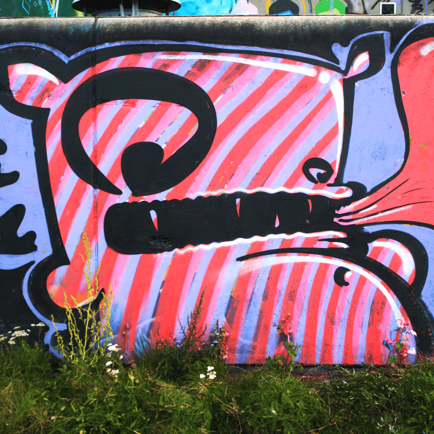 header_image